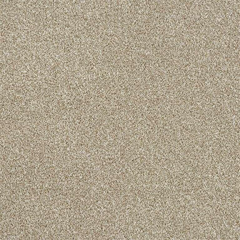 Abingdon Stainfree Rustique Twist 18 Driftwood Carpet
