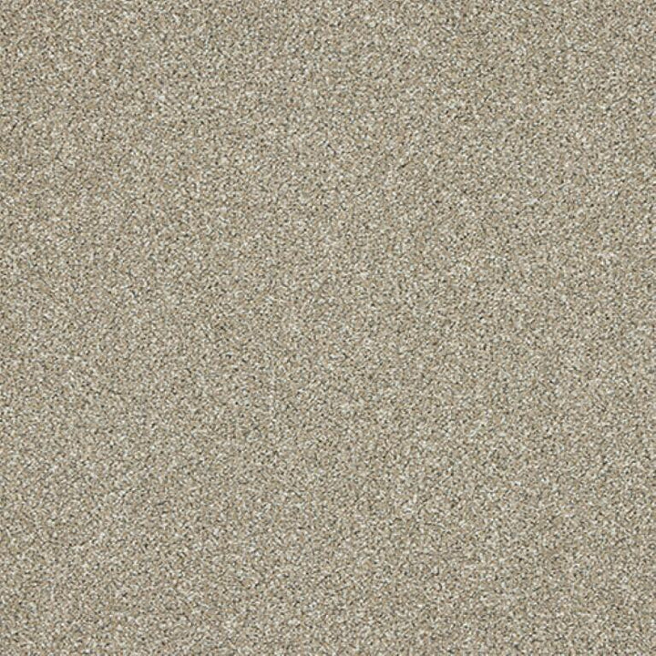 Abingdon Knightsbridge Berber 02 Pale Fawn Carpet