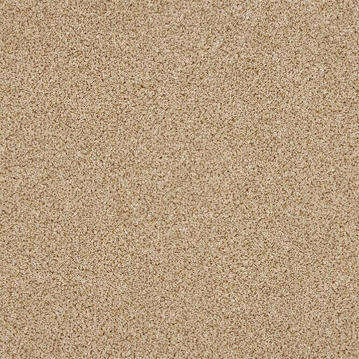 Abingdon Knightsbridge Berber 05 Honeycomb Twist Carpet