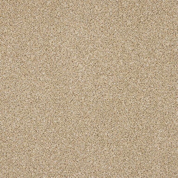 Abingdon Knightsbridge Berber 06 Wheat Mist Carpet