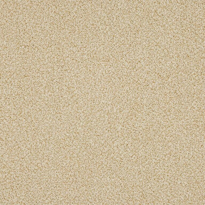 Abingdon Knightsbridge Berber 07 Desert Fleece Carpet