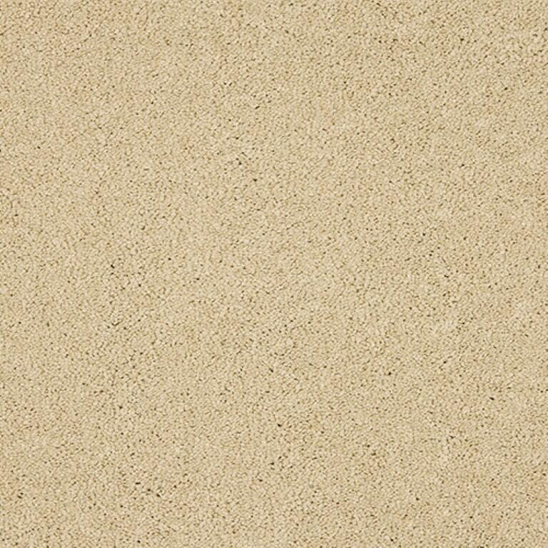 Abingdon Seduction 13 Double Cream Carpet