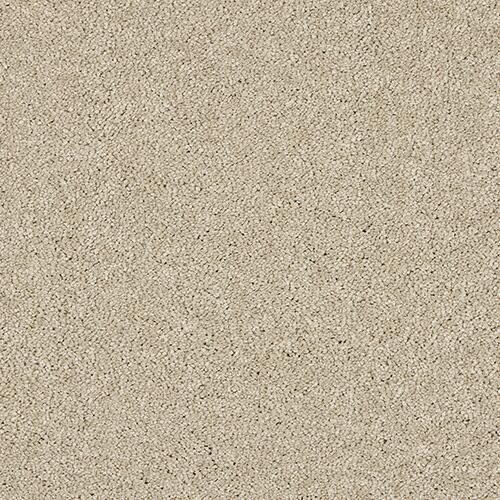 Abingdon Velvet Dream 02 Dust Carpet
