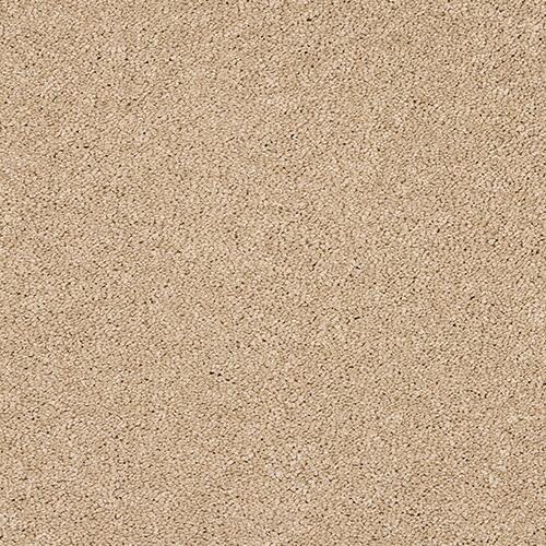 Abingdon Velvet Dream 07 Soft Buff Carpet