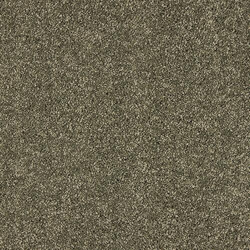 Abingdon Velvet Dream 14 Dusty Fern Carpet