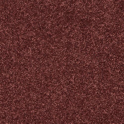 Abingdon Velvet Dream 15 Bookroom Red Carpet