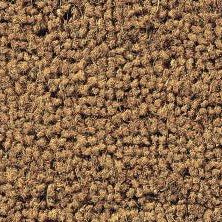 Hathaway Coir Matting Natural