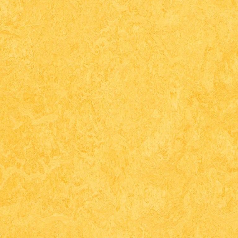 Forbo Marmoleum Fresco 2mm 3251 Lemon Zest Commercial Flooring