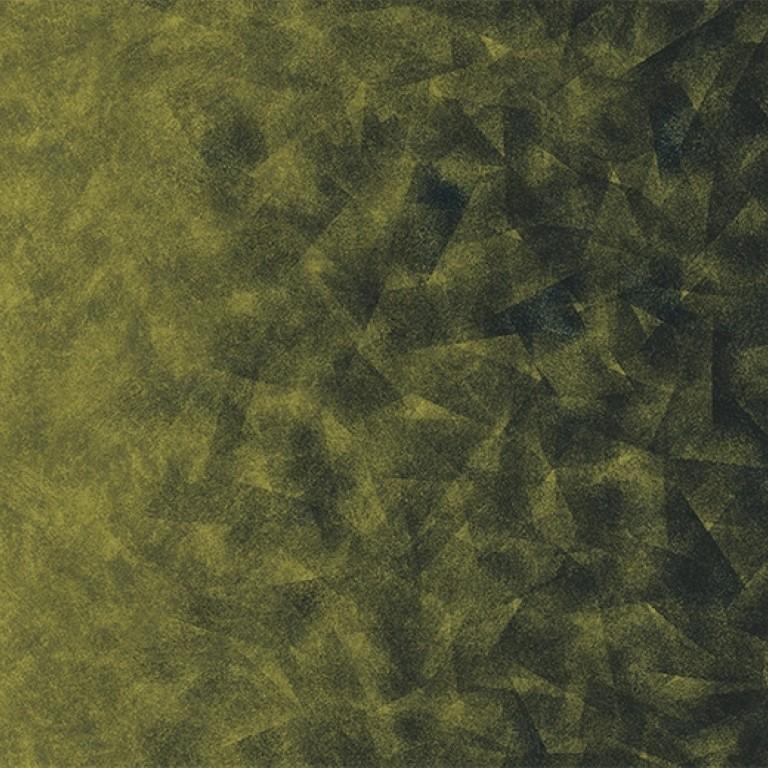 Forbo Flotex Created By Starck 322012 Artist Emerald / Chartreuse B2 Commercial Flooring
