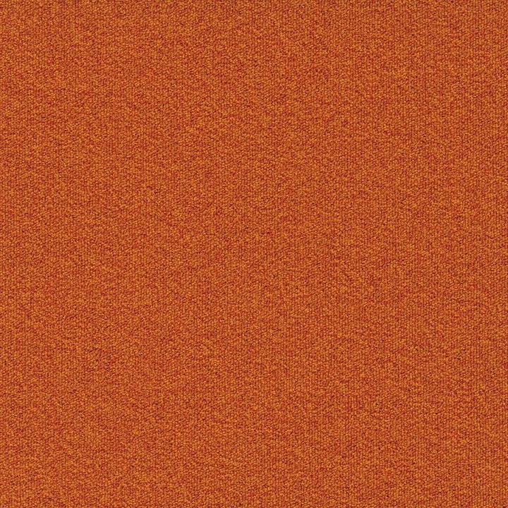 Joseph Hamilton &amp; Seaton Colour Foundation 322 Orange Carpet Tiles