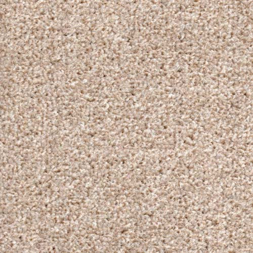 Dublin Collection 33 Ivory Carpet