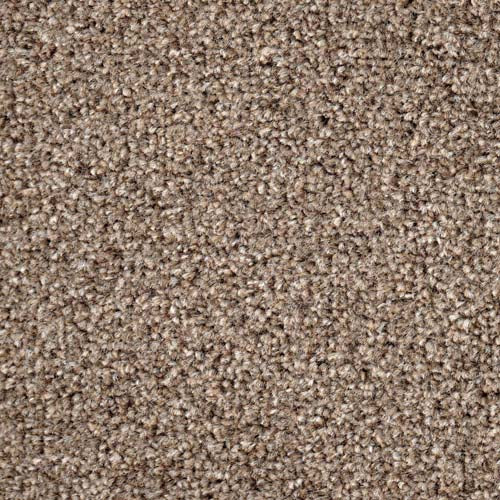 Dublin Collection 42 Mink Carpet
