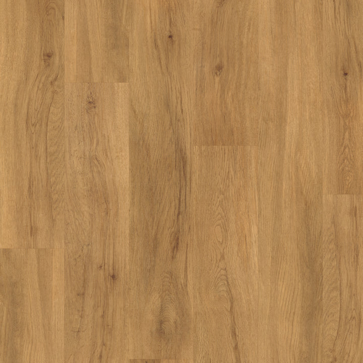 Camaro Rigid Core Butternut Oak 4161