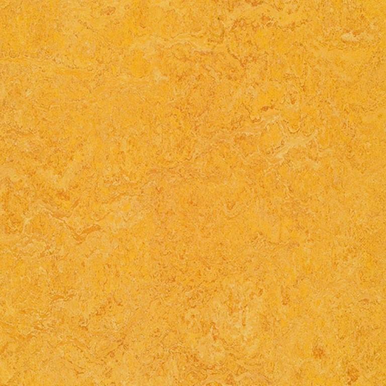 Forbo Marmoleum Real 3.5mm 322535 Dandelion Commercial Flooring