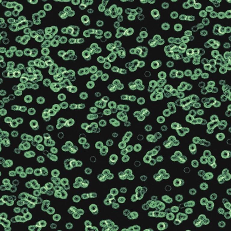 Forbo Flotex Sottsass Bacteria 990102 Commercial Flooring