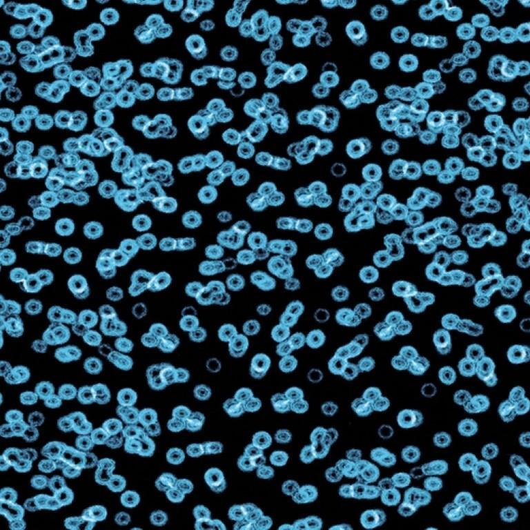 Forbo Flotex Sottsass Bacteria 990105 Commercial Flooring