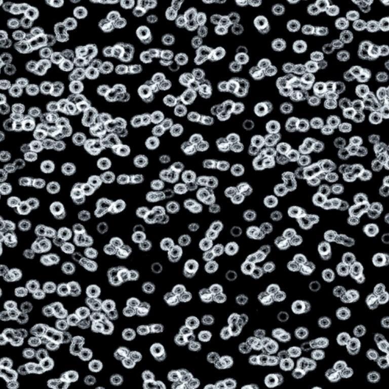 Forbo Flotex Sottsass Bacteria 990106 Commercial Flooring