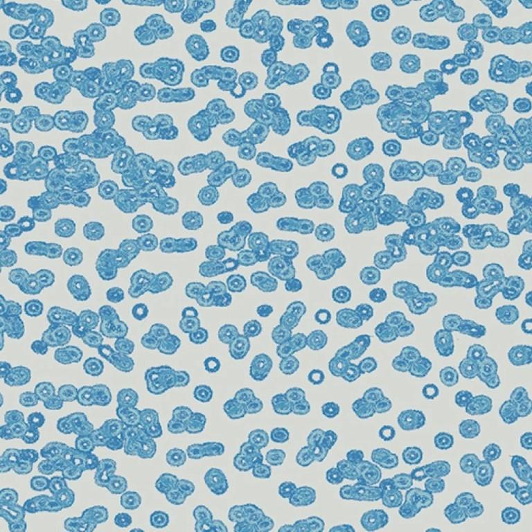Forbo Flotex Sottsass Bacteria 990202 Commercial Flooring