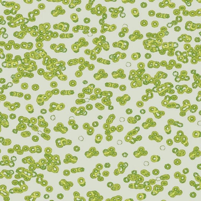 Forbo Flotex Sottsass Bacteria 990203 Commercial Flooring