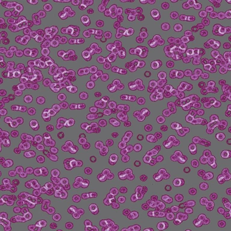 Forbo Flotex Sottsass Bacteria 990301 Commercial Flooring