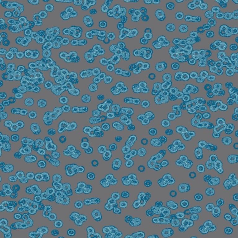 Forbo Flotex Sottsass Bacteria 990303 Commercial Flooring