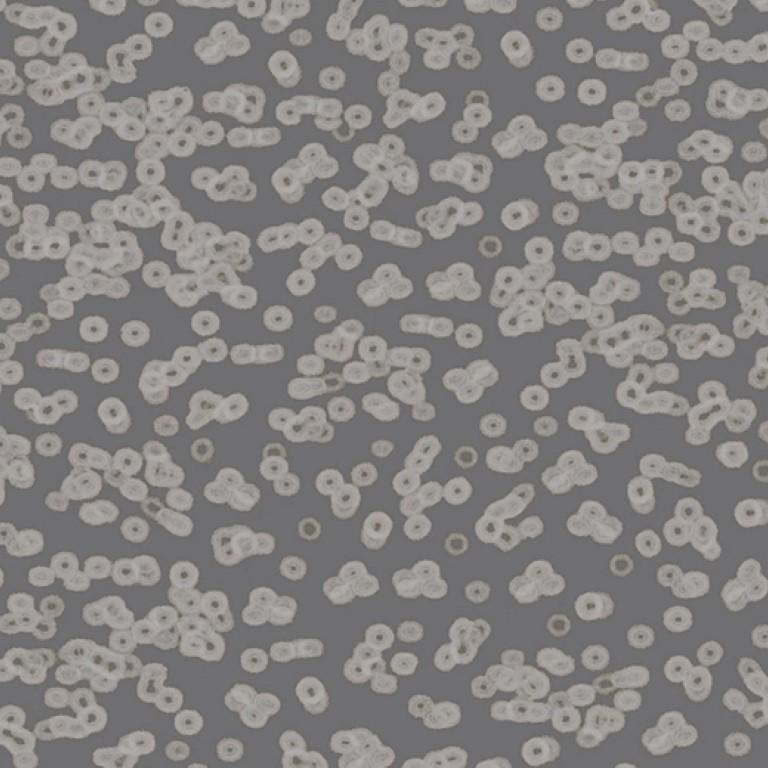 Forbo Flotex Sottsass Bacteria 990304 Commercial Flooring