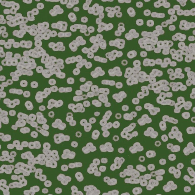 Forbo Flotex Sottsass Bacteria 990403 Commercial Flooring
