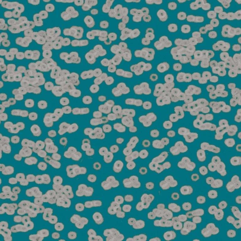 Forbo Flotex Sottsass Bacteria 990404 Commercial Flooring