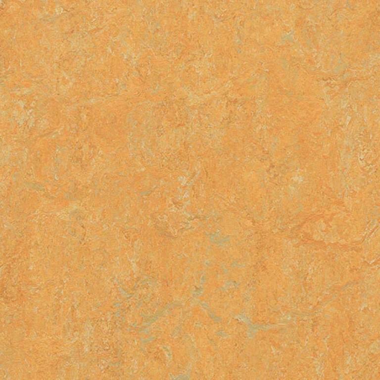Forbo Marmoleum Real 2.5mm 3847 Golden Saffron Commercial Flooring