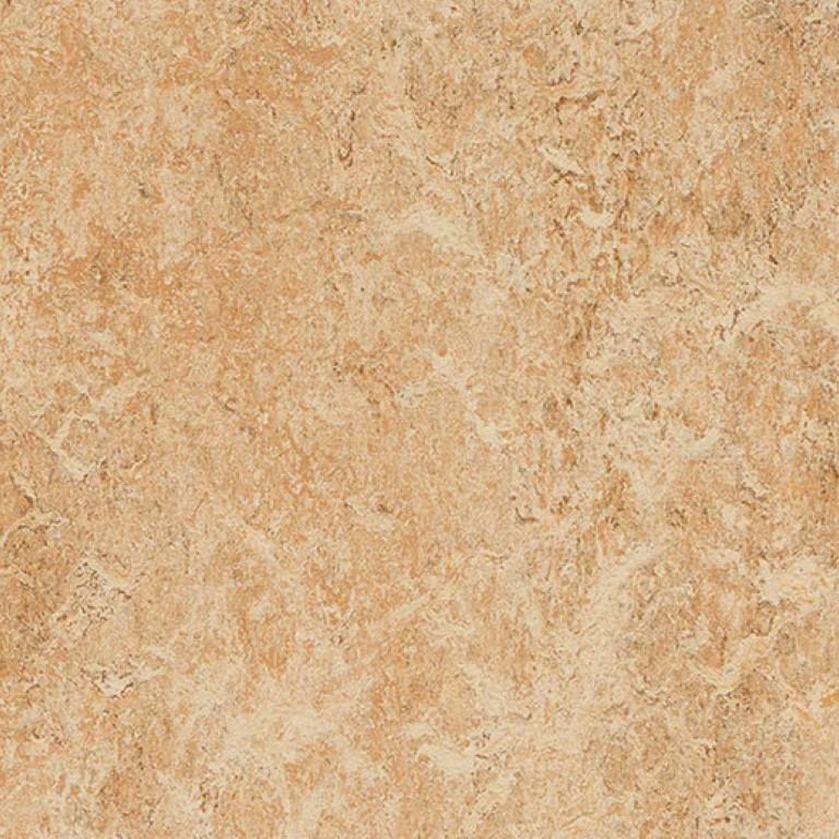 Forbo Marmoleum Real 2.5mm 3075 Shell Commercial Flooring