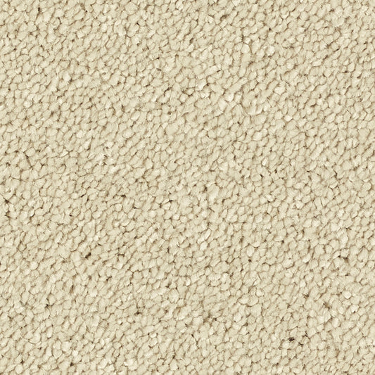 Stainfree Caress Cotton 07 Carpet