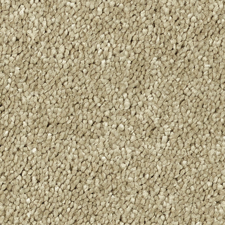 Stainfree Caress Latte 08 Carpet