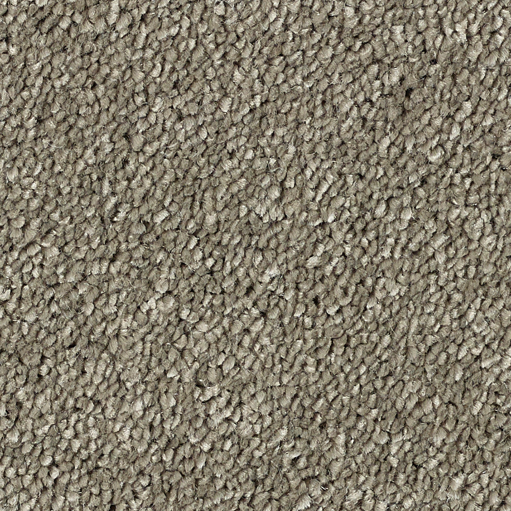 Stainfree Caress Mocha 09 Carpet
