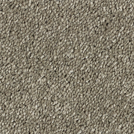 Stainfree Caress Mocha 09 Carpet