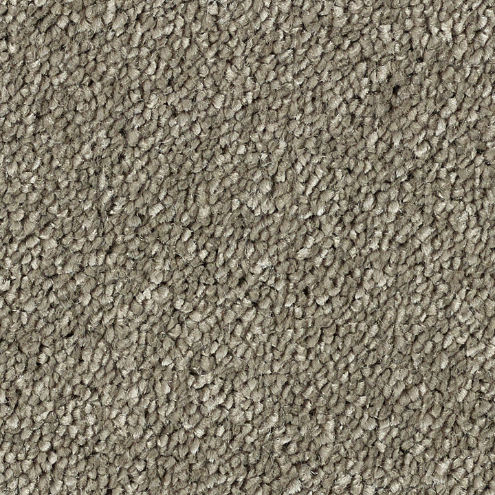 Stainfree Caress Mocha 09 Carpet