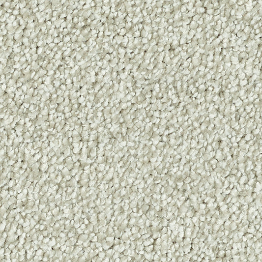 Stainfree Caress Champagne 06 Carpet