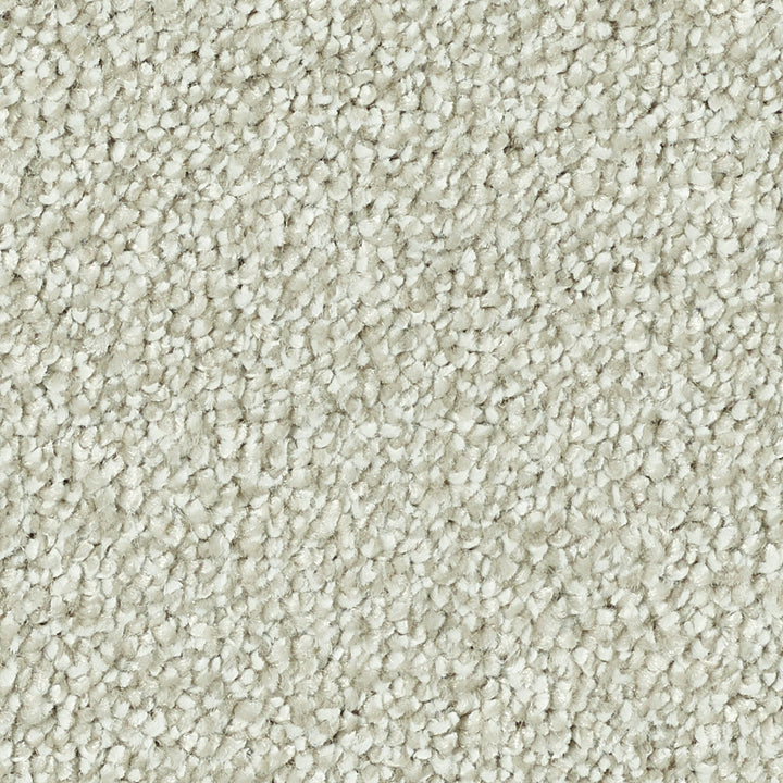 Stainfree Caress Champagne 06 Carpet