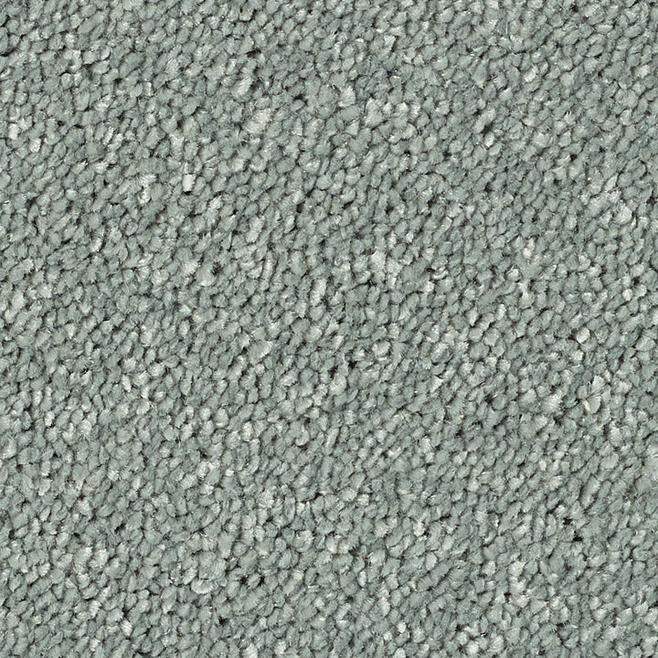 Stainfree Caress Platinum 01 Carpet