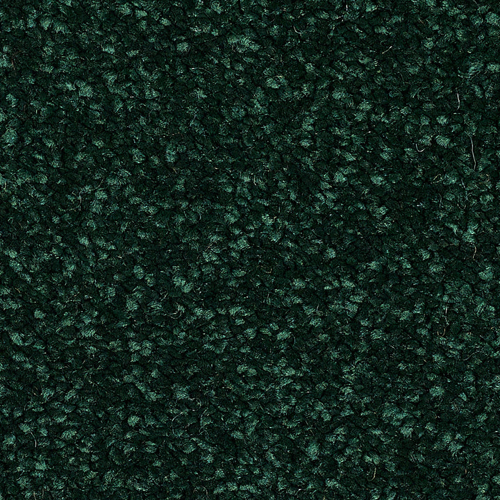Stainfree Caress Fir Green 20 Carpet