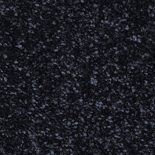 Stainfree Caress Deep Blue 21 Carpet