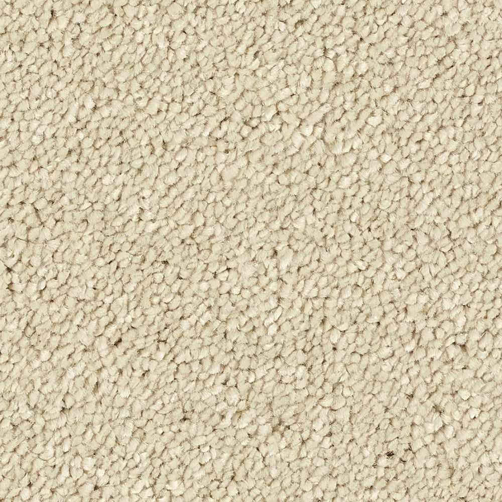 Stainfree Reflections Cotton 07 Carpet