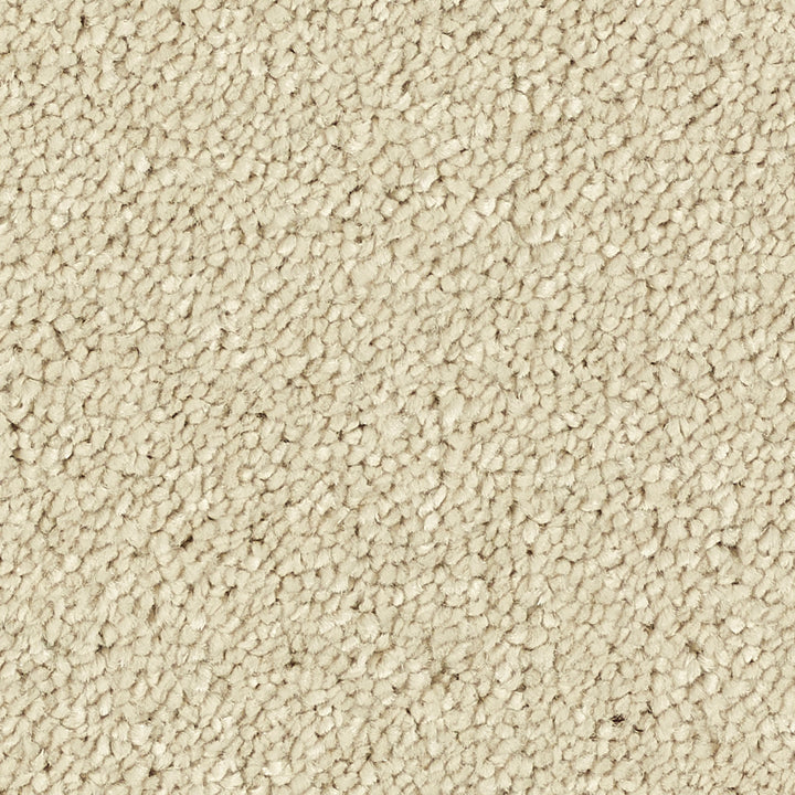 Stainfree Reflections Cotton 07 Carpet
