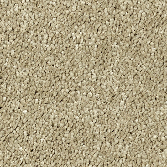 Stainfree Reflections Latte 08 Carpet