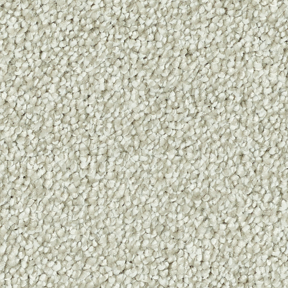 Stainfree Reflections Champagne 06 Carpet