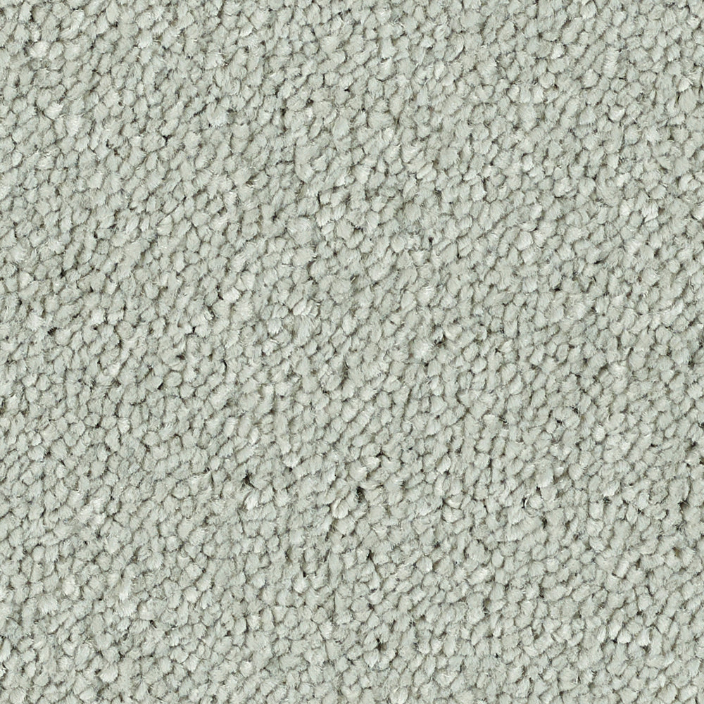 Stainfree Reflections Suede 05 Carpet
