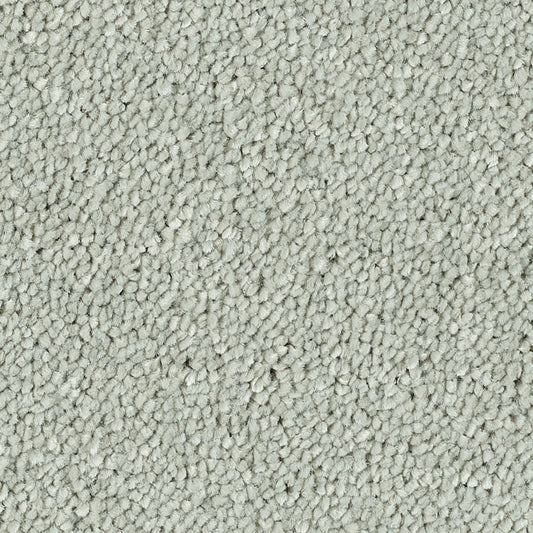 Stainfree Reflections Suede 05 Carpet