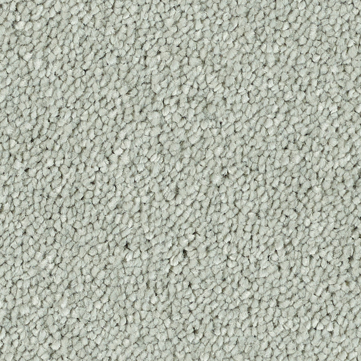 Stainfree Reflections Suede 05 Carpet