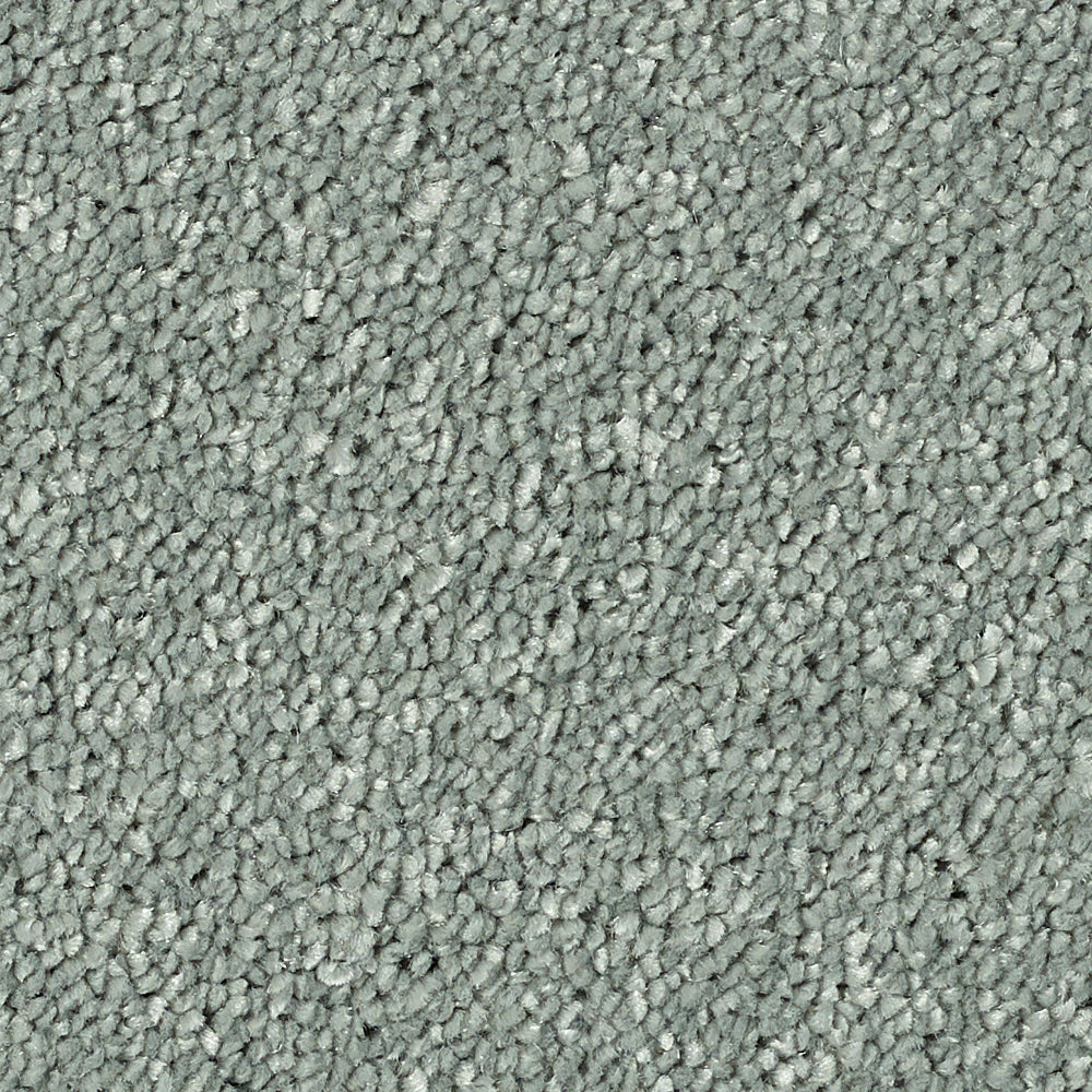 Stainfree Reflections Platinum 01 Carpet