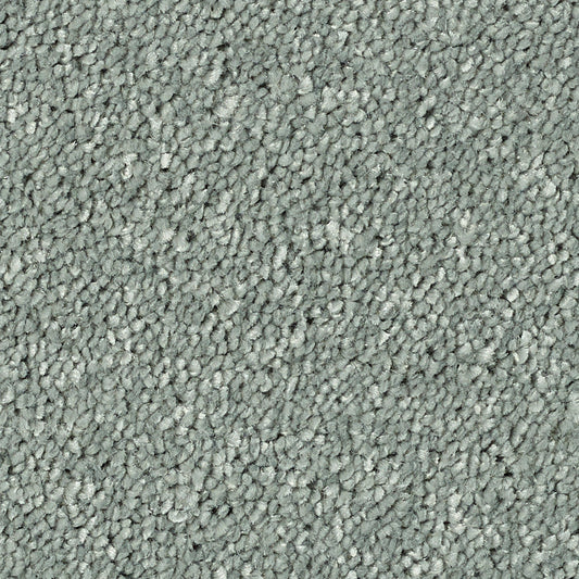 Stainfree Reflections Platinum 01 Carpet