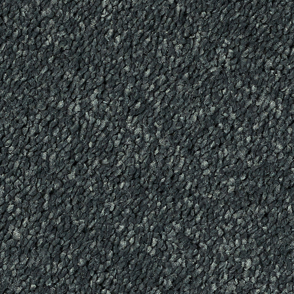 Stainfree Reflections Ebony 11 Carpet